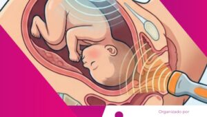 Imagen curso